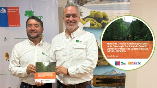 18-12-2025 Libro redd+