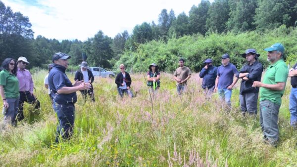 18-12-2025 Los Ríos