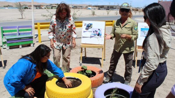 19-12-2025 Plazalote Nayra Pacha