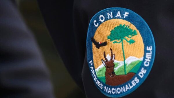 19-12-2025 logoo asp