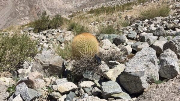 Diseño sin título (67)