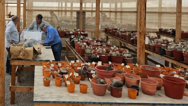 Diseño sin título (68)