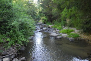 Parque Nacional Nonguén