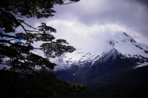 Reserva Nacional Mocho Choshuenco