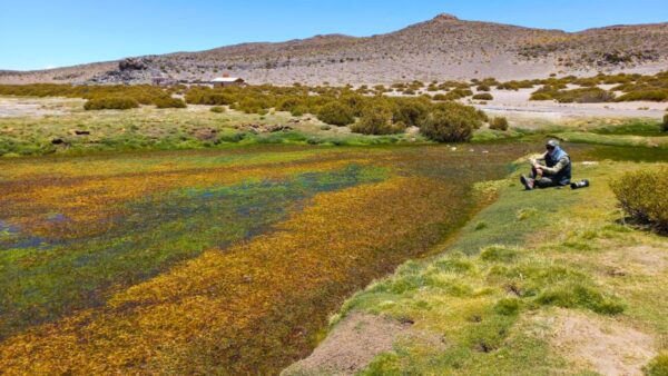 02-02-2026 Humedales