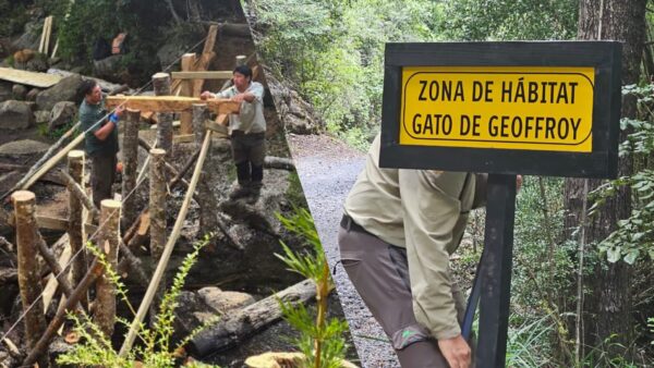12-02-2026 Mejoras en Huerquehue