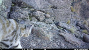 AEC0T 112 S 0 Y 48 B -27 I0 #SNAP ALS1781 C0 T 112 S 27 Y 48 B -27 I0 #0