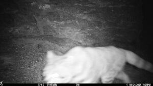 AEC0T 96 S 47 Y 14 B -47 I0 #SNAP ALS0 C1 T 65 S 16 Y 56 B -15 I26 #1