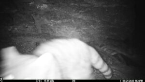 AEC0T 96 S 47 Y 14 B -47 I0 #SNAP ALS0 C1 T 65 S 16 Y 56 B -15 I26 #2