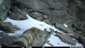 AEC0T 112 S 0 Y 22 B -45 I0 #SNAP ALS590 C0 T 99 S 32 Y 22 B -45 I0 #0