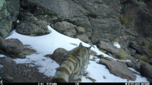 AEC0T 80 S 48 Y 487 B 25 I0 #SNAP ALS590 C0 T 99 S 32 Y 22 B -45 I0 #1