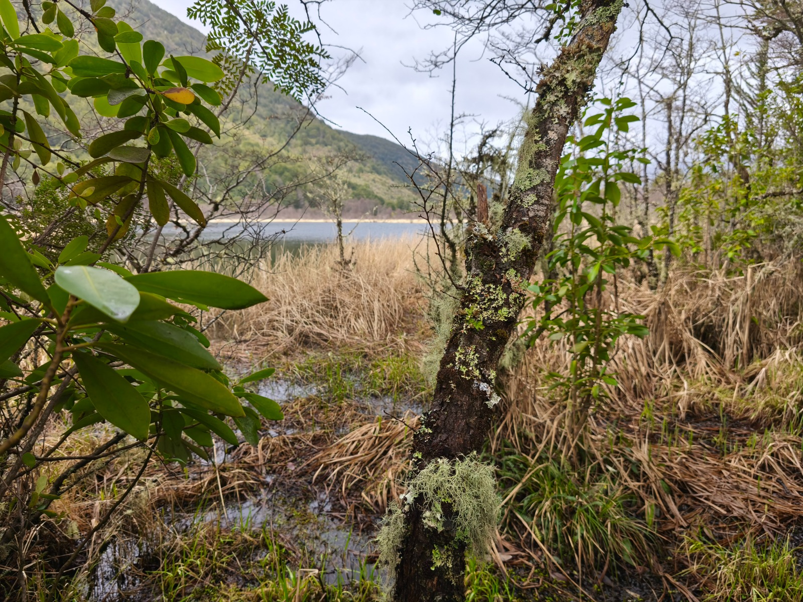 Sector Traiguanca, Bahía Murta