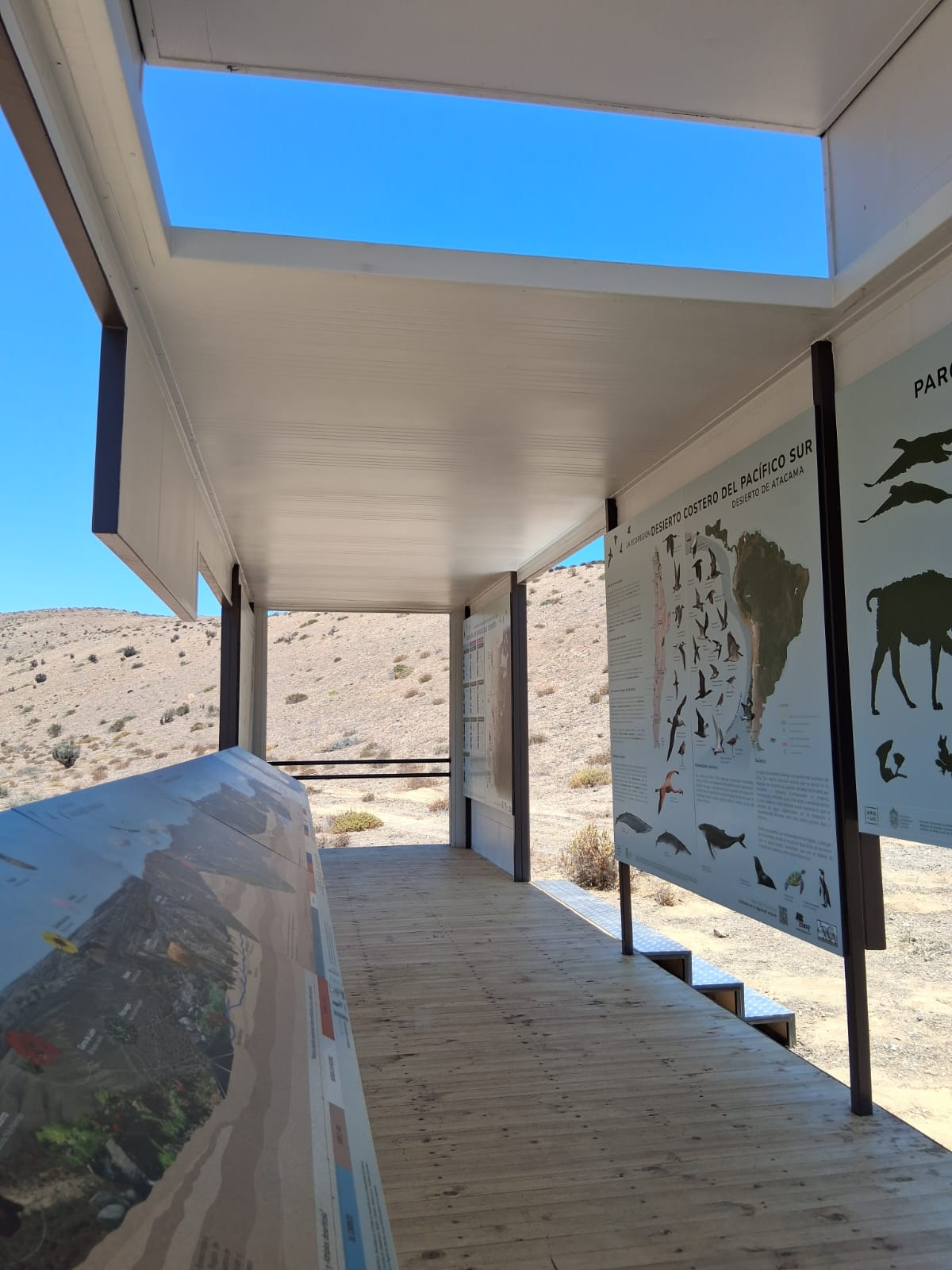 WhatsApp Image 2026-01-29 at 13.43.05 (3) (1)