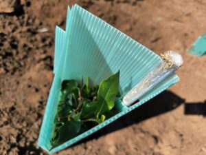 WhatsApp Image 2025-06-13 at 9.03.30 AM (1)