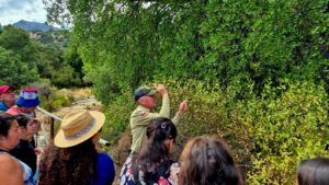 WhatsApp Image 2026-02-27 at 15.51.21 (2)