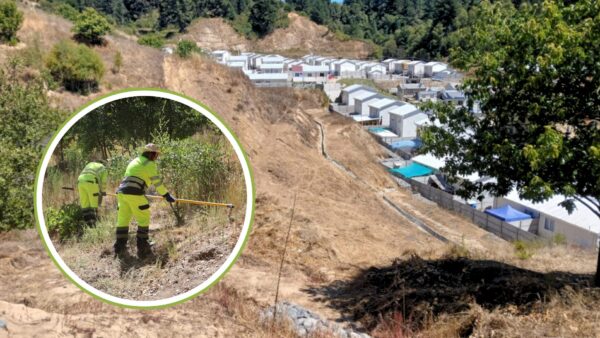 07-04-2026 Coelemu Ñuble