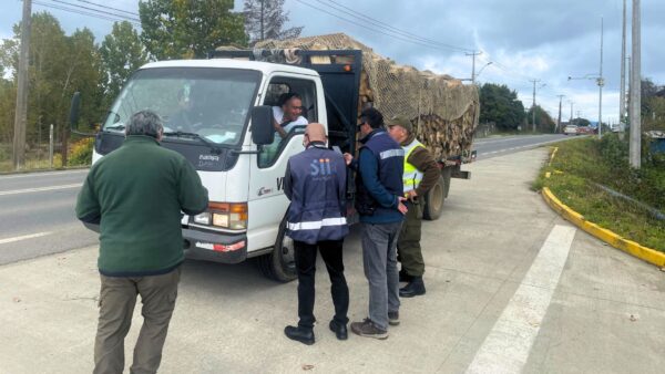 07-04-2026 Los Lagos Control carretero