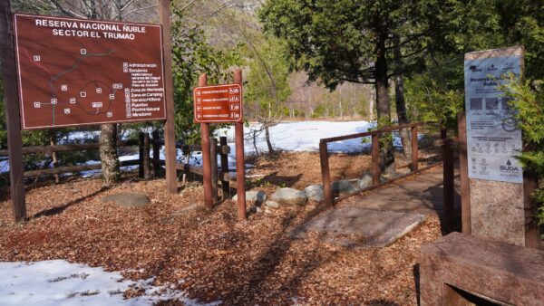 Ñuble Día del Deporte