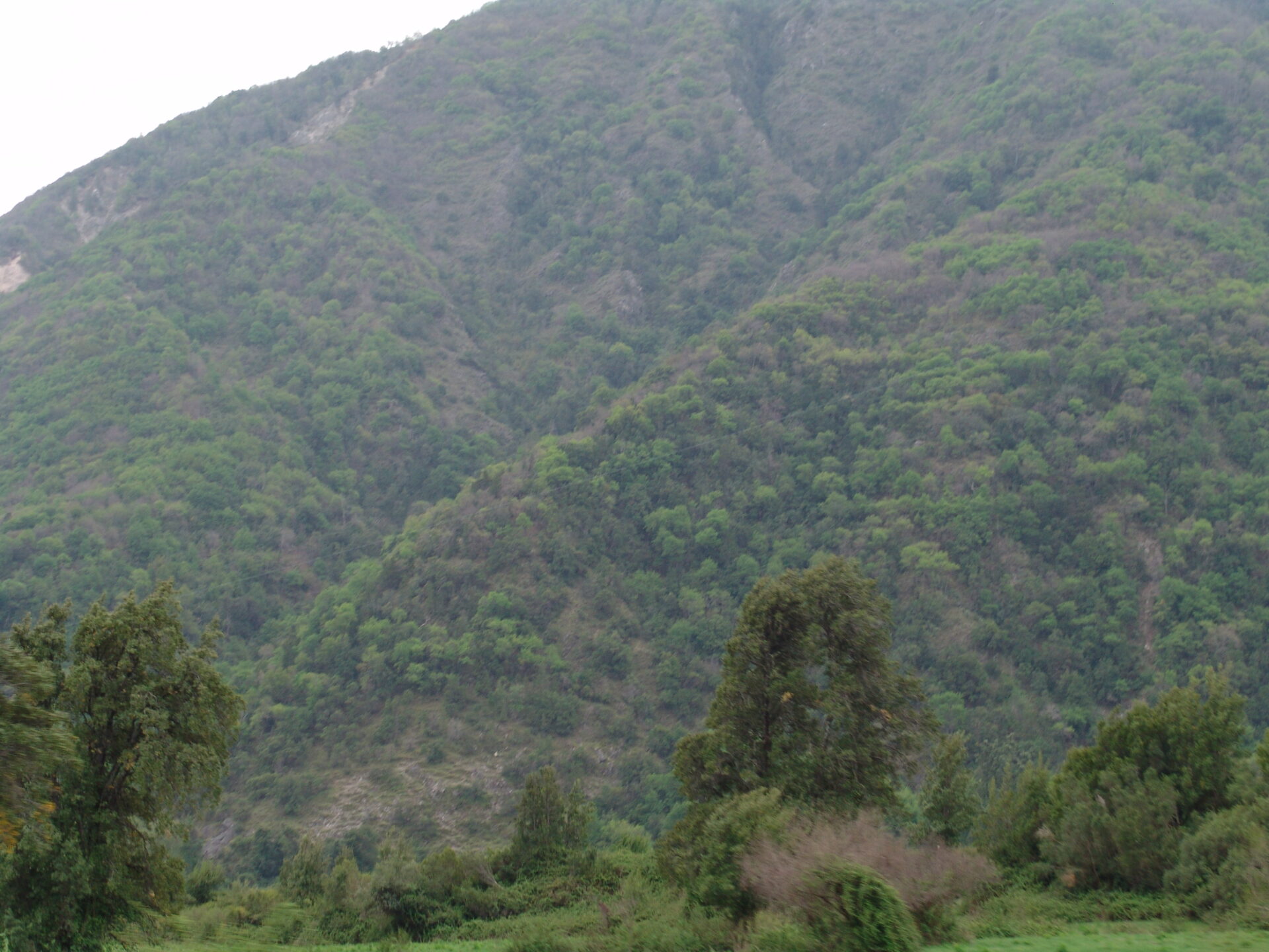 RN Altos de Lircay (73)