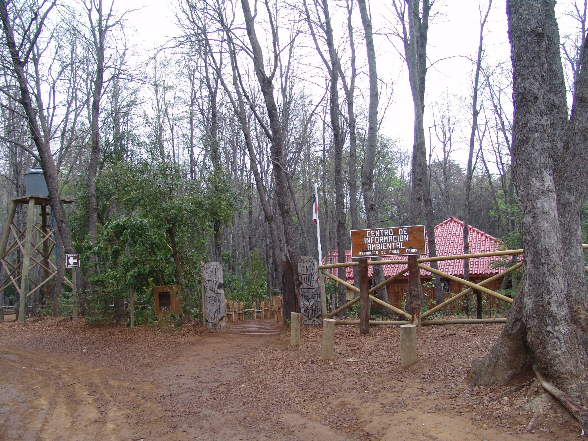 RN Altos de Lircay (75)