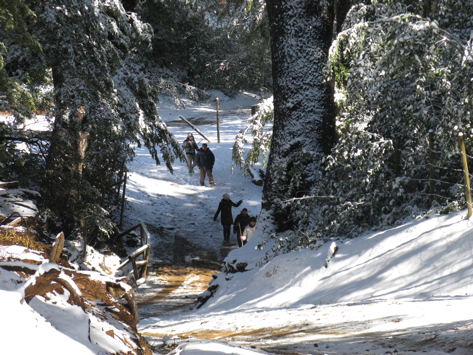 RN Altos de Lircay (Ecoturismo) (1)