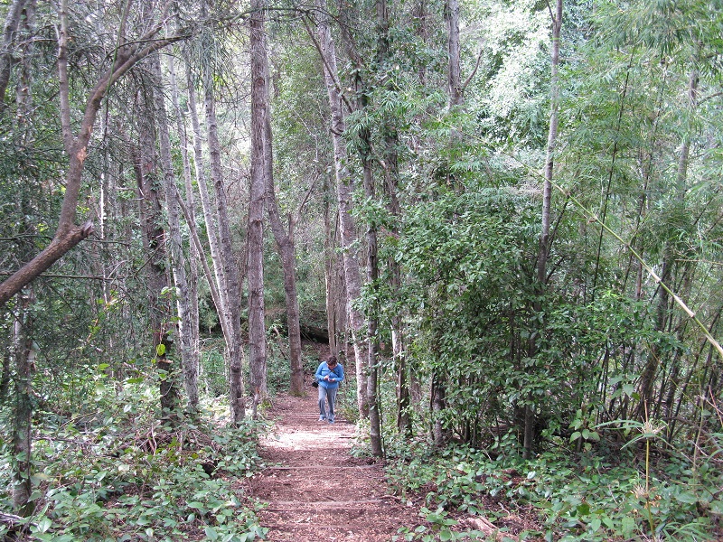 RN Altos de Lircay (Ecoturismo) (2)