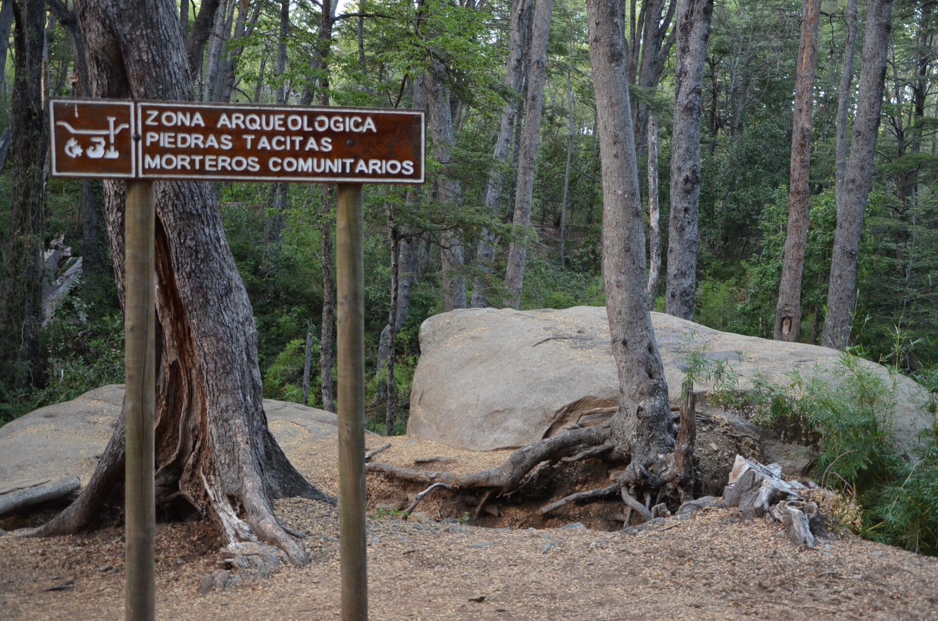 RN Altos de Lircay (Piedras tacitas) (1)