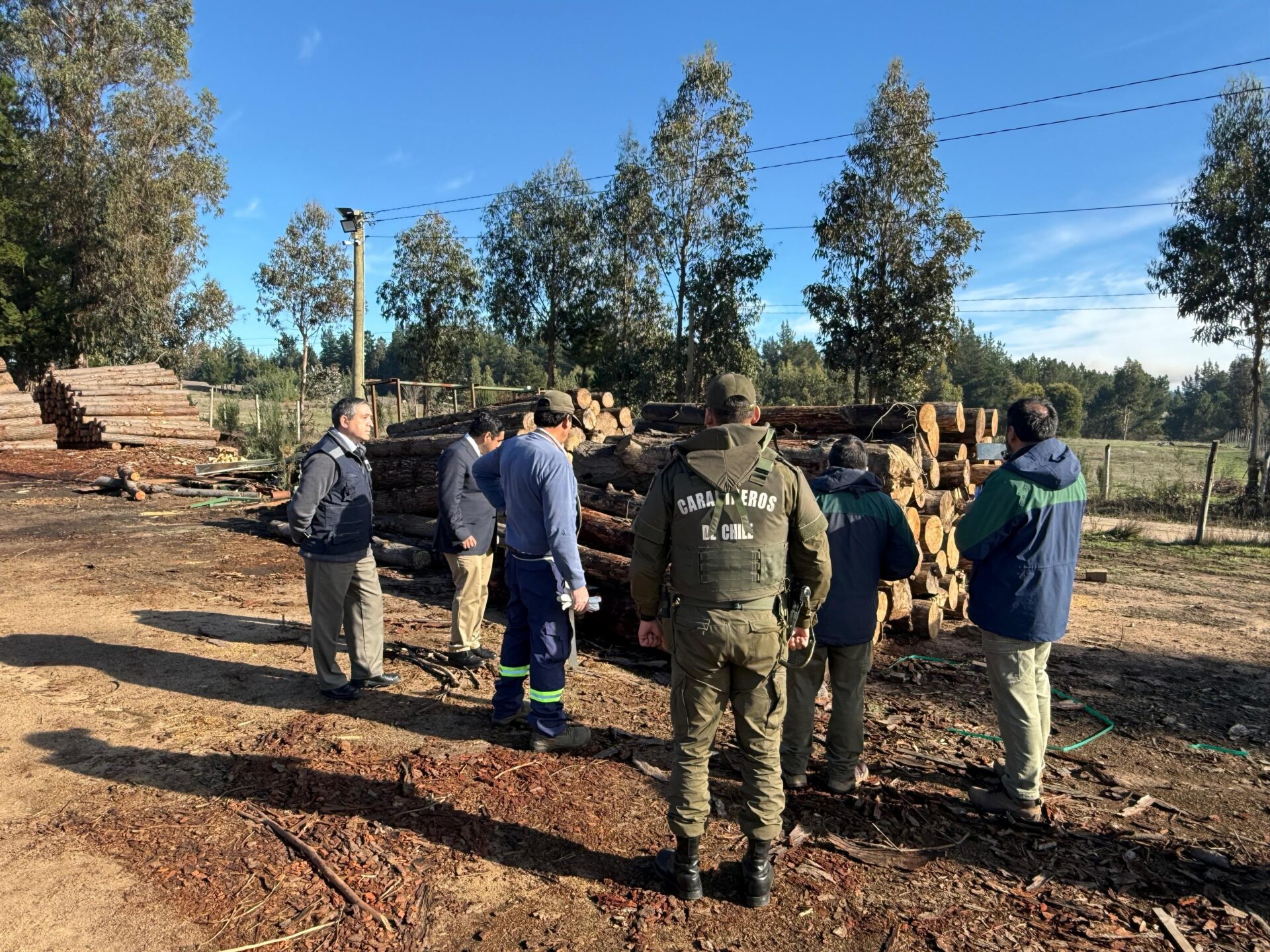 Fiscalización aserraderos Itata (1)