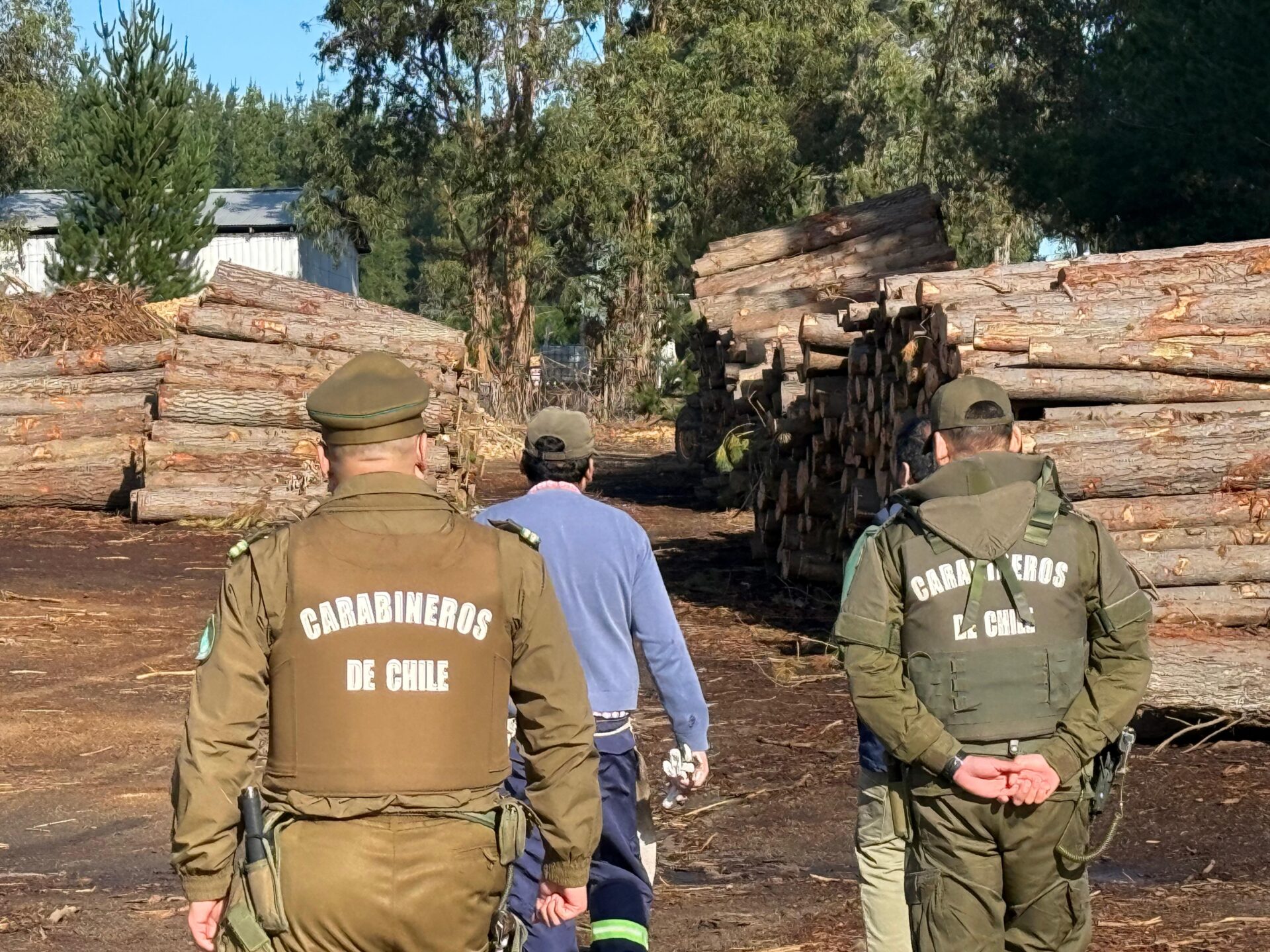 Fiscalización aserraderos Itata (4)
