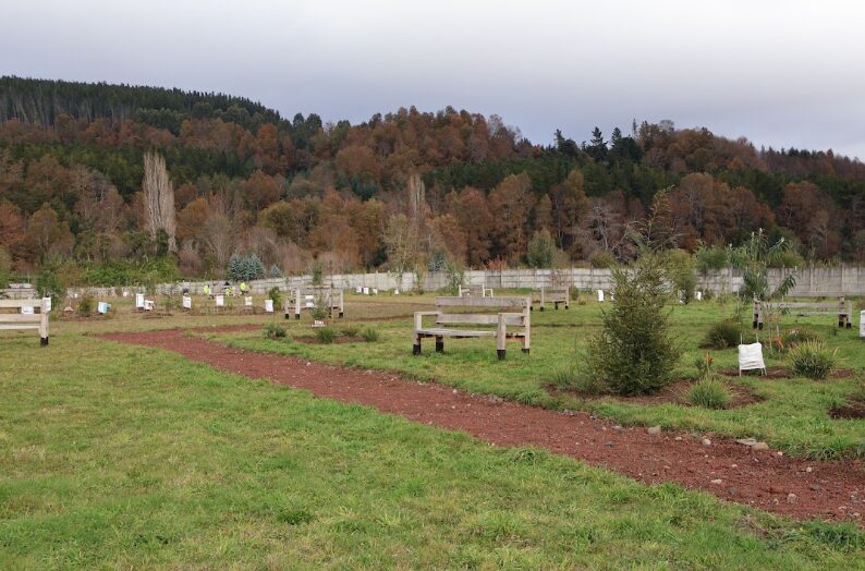 Foto 5 (1)