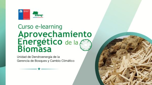 Curso biomasa (1)