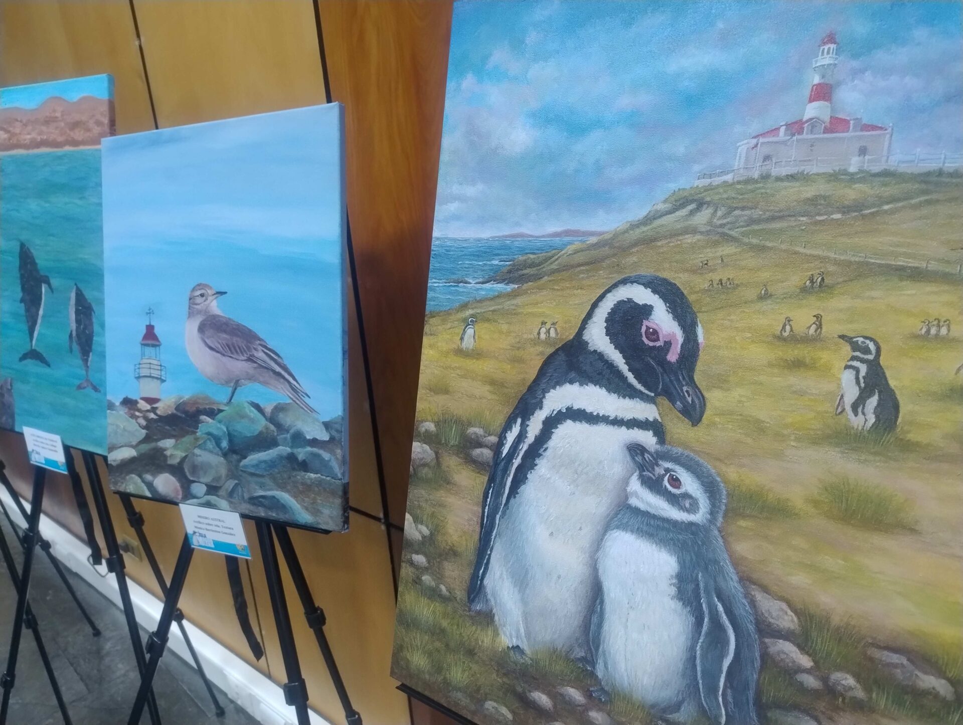 La exposición itinerante Isla Magdalena Pinceladas del MN Natural Los Pingüinos recorrerá Punta Arenas entre el 18 al 28 de agosto