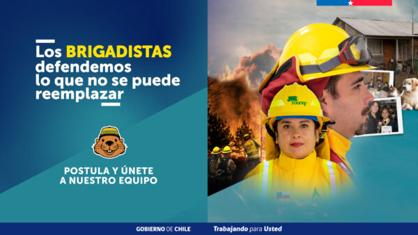 imagen-noticia (1)