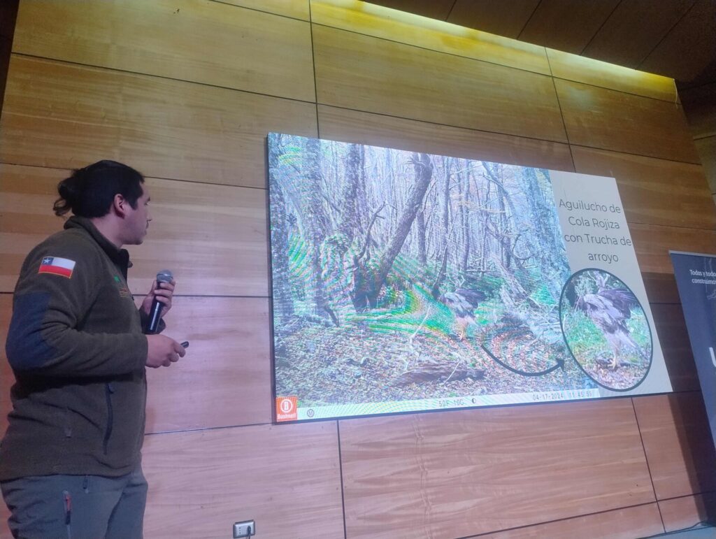 Guardaparque Miguel Angel Lopetegui de la Rserva Nacional Laguna Parrillar expone sobre los hallazgos a través de cámaras trampa