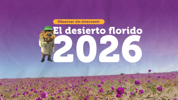 imagen-pagina (1)
