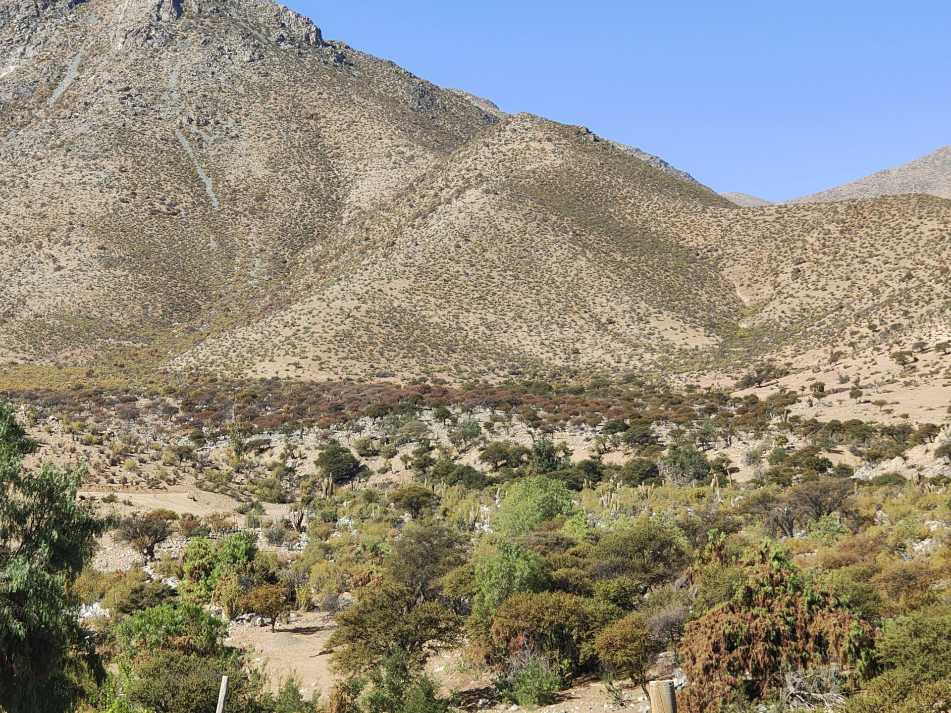 IMG_20260428_140315712_HDR