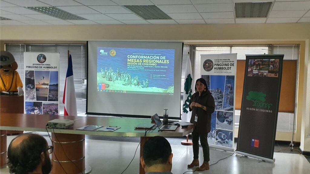 Paula Martinez DIRECTORA REGIONAL SBAP