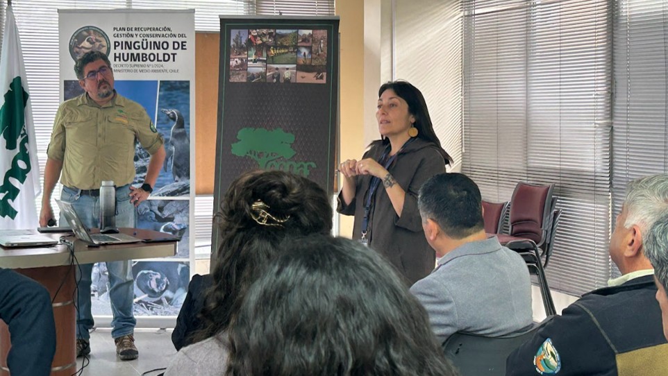 Paula Martinez DIRECTORA REGIONAL SBAP-2