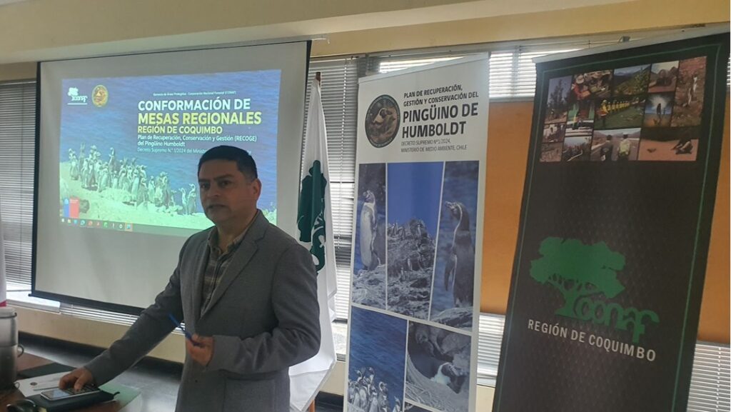 Roberto Valdes DIRECTOR REGIONAL CONAF