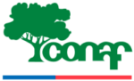 Logo_conaf_w200